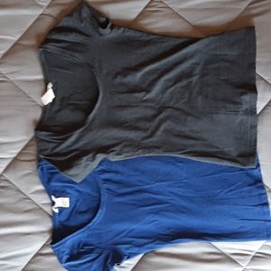 ❄ Winter Sale! 2/$10 - 2 H&M basic scoop neck shirts